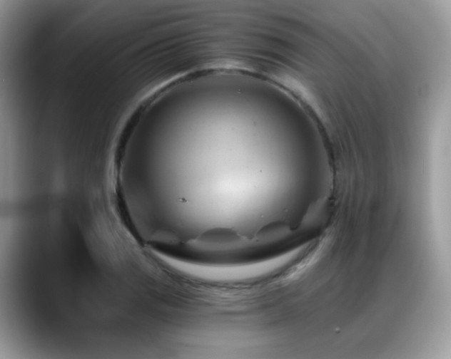 X0000088861125200706081148