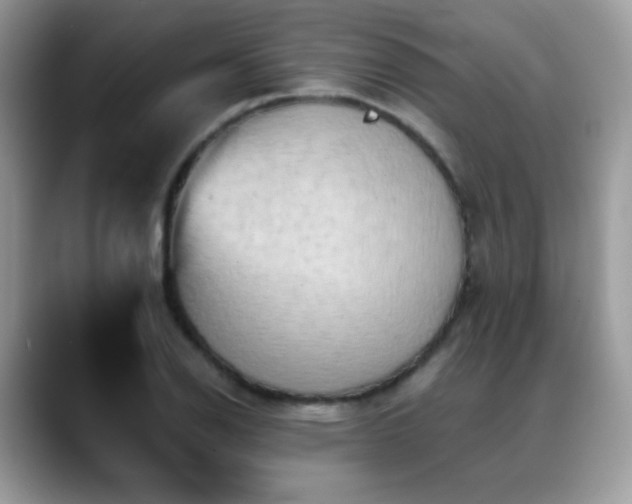 X0000088861126200706081148