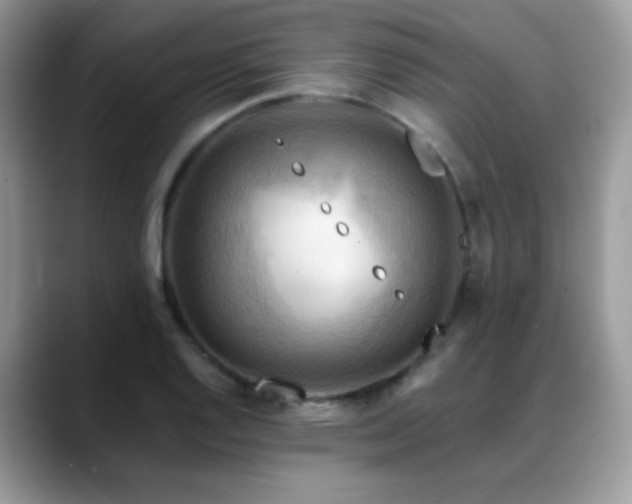 X0000088861128200706081148