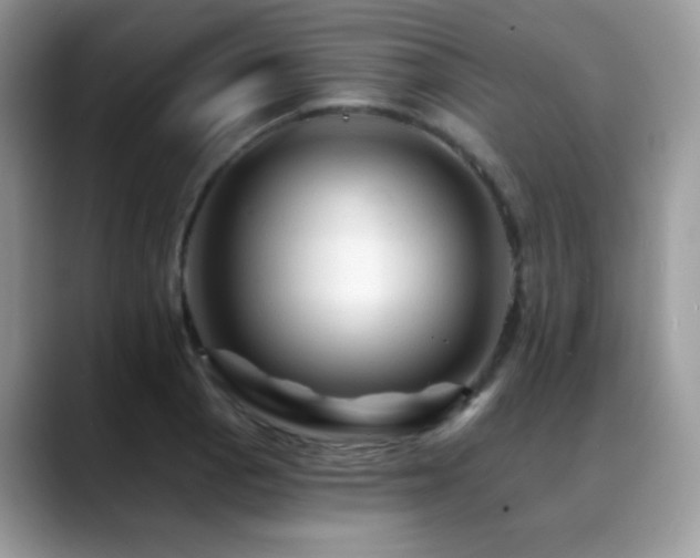X0000088861129200706081148