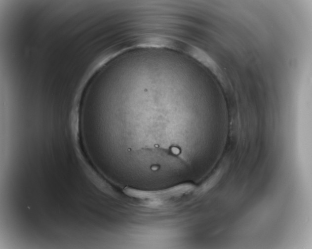 X0000088861130200706081148
