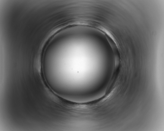 X0000088861131200706081148