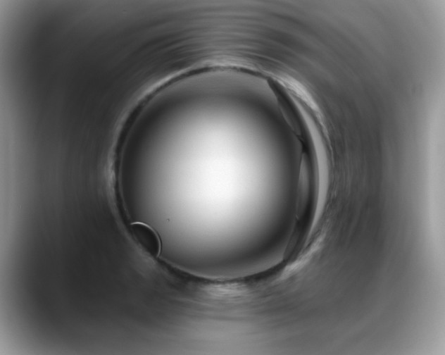 X0000088861133200706081148
