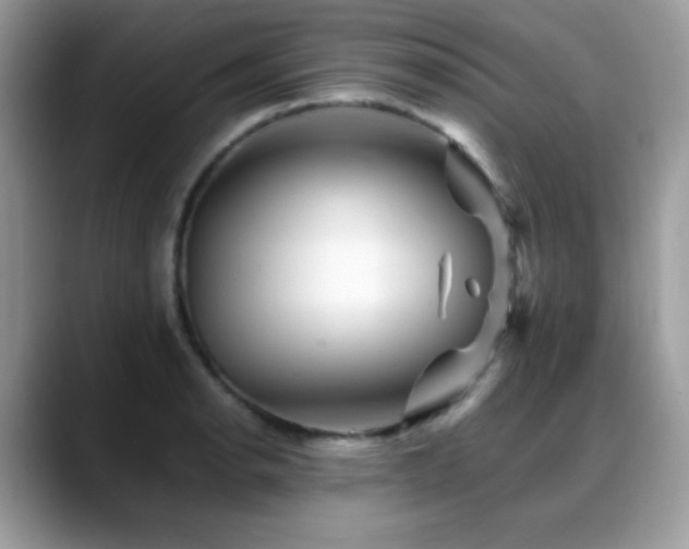 X0000088861134200706081148