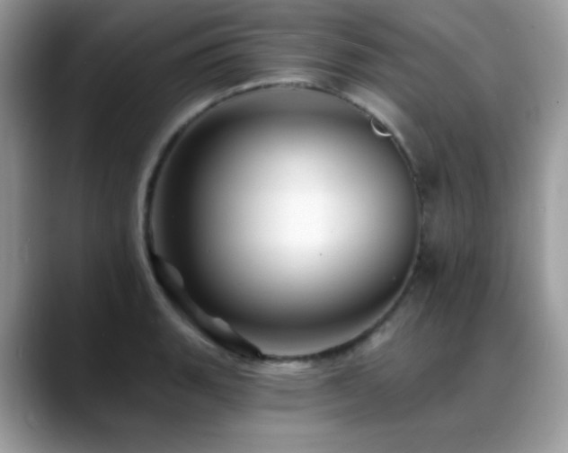 X0000088861135200706081148
