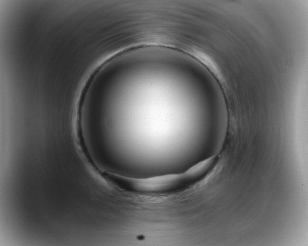 X0000088861136200706081148