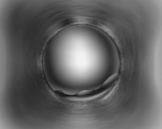 X0000088861137200706081148