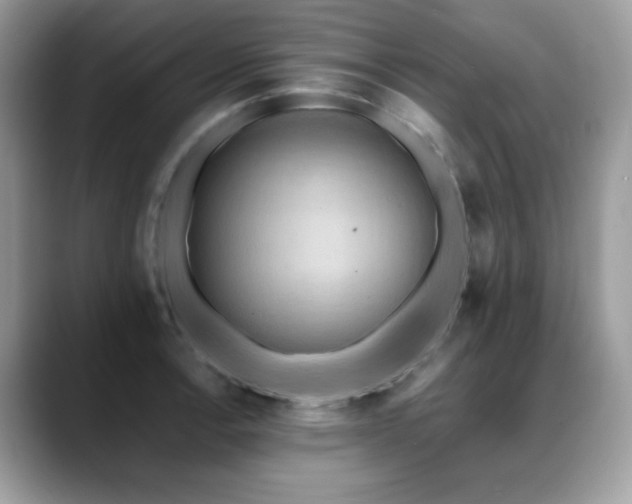 X0000088861138200706081148