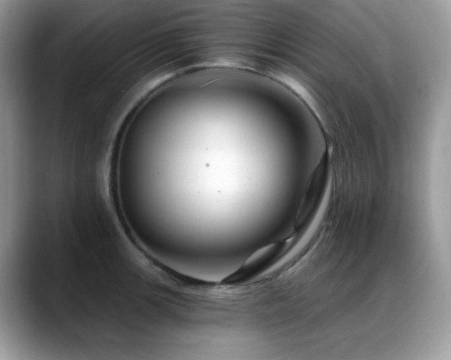 X0000088861139200706081148