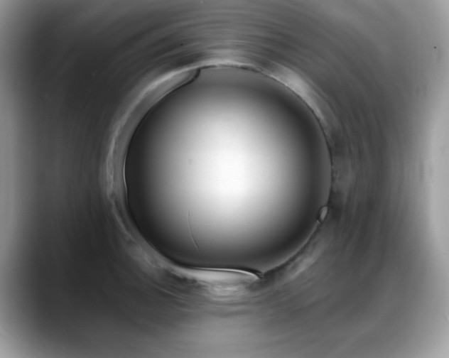 X0000088861140200706081148