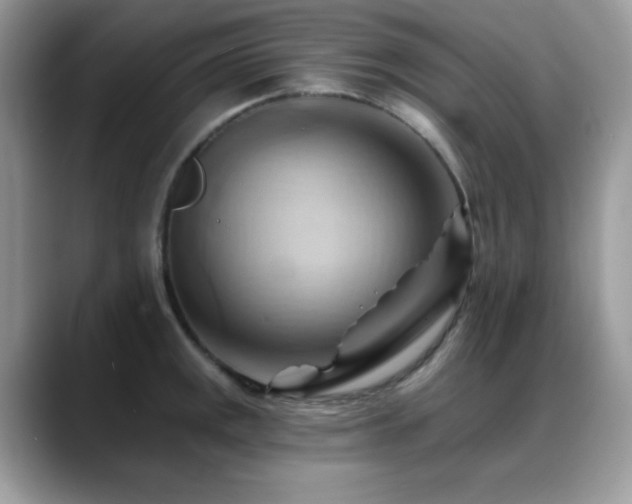 X0000088861141200706081148