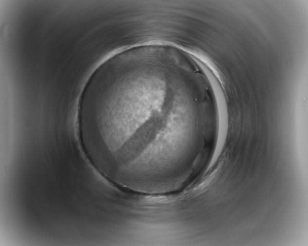 X0000088861142200706081148