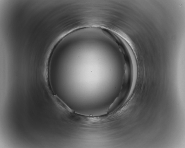 X0000088861144200706081148