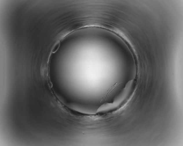 X0000088861145200706081148