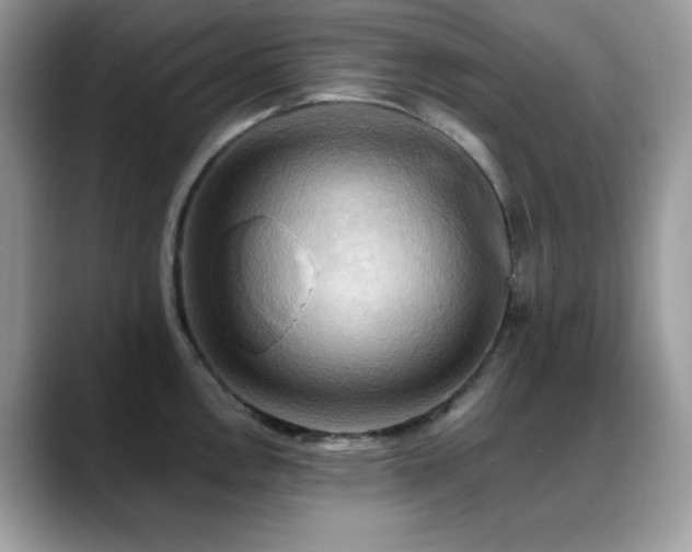 X0000088861146200706081148