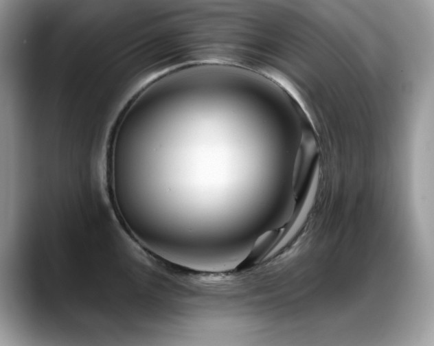 X0000088861147200706081148