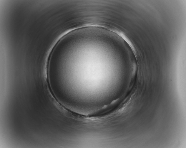 X0000088861148200706081148