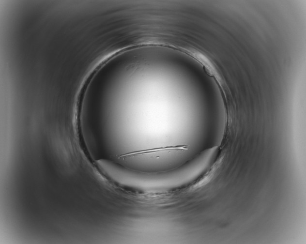 X0000088861149200706081148