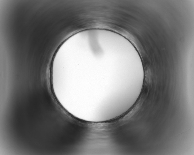 X0000088861150200706081148