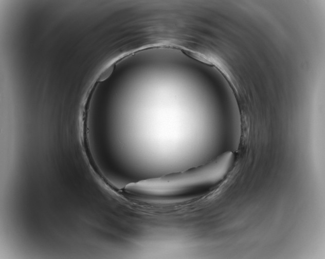 X0000088861151200706081148