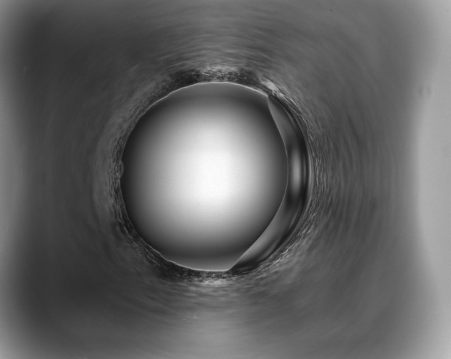 X0000088861153200706081148