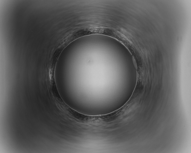X0000088861154200706081148