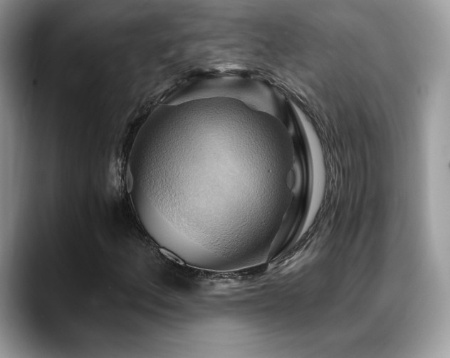 X0000088861156200706081148