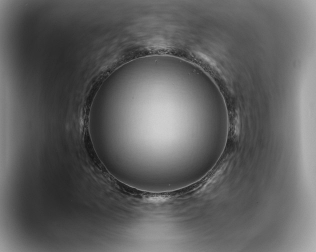 X0000088861157200706081148