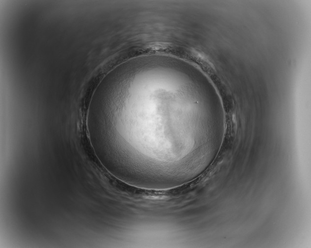 X0000088861158200706081148