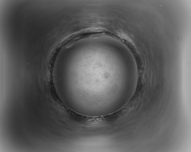 X0000088861159200706081148