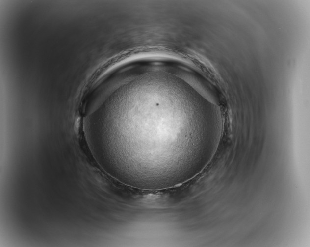 X0000088861160200706081148