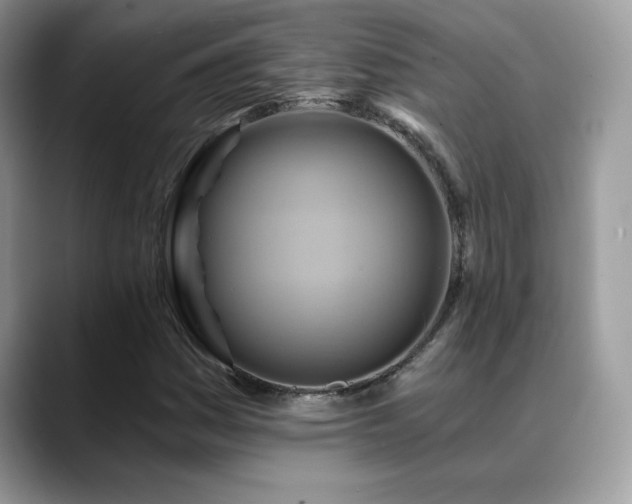 X0000088861161200706081147