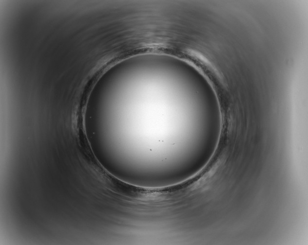 X0000088861162200706081147