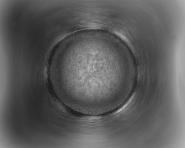 X0000088861163200706081147
