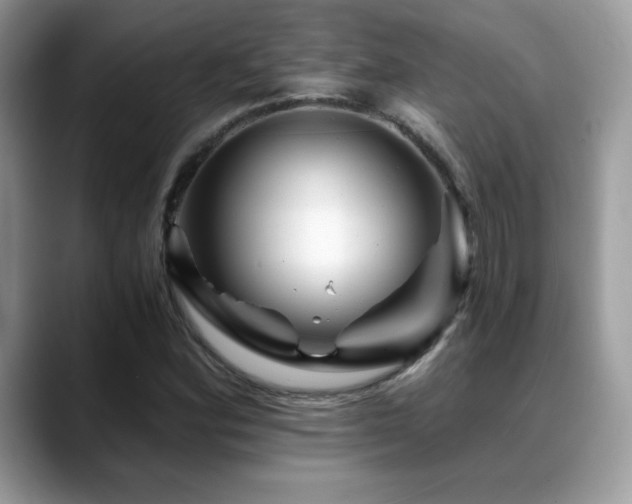 X0000088861164200706081147