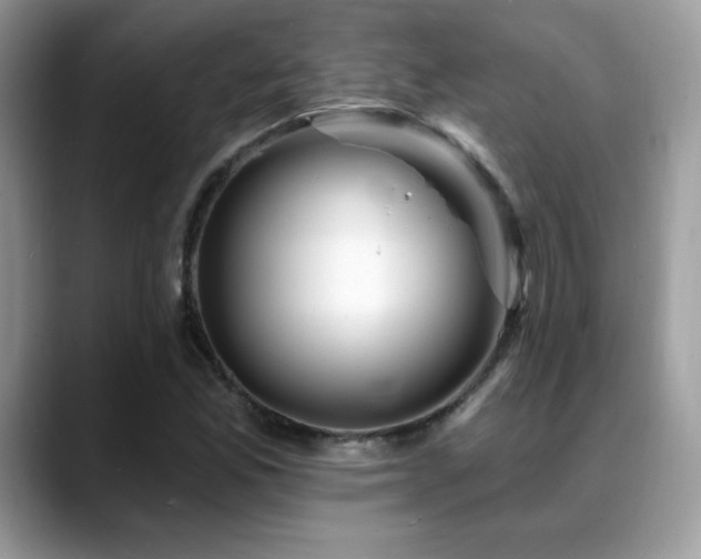 X0000088861165200706081147