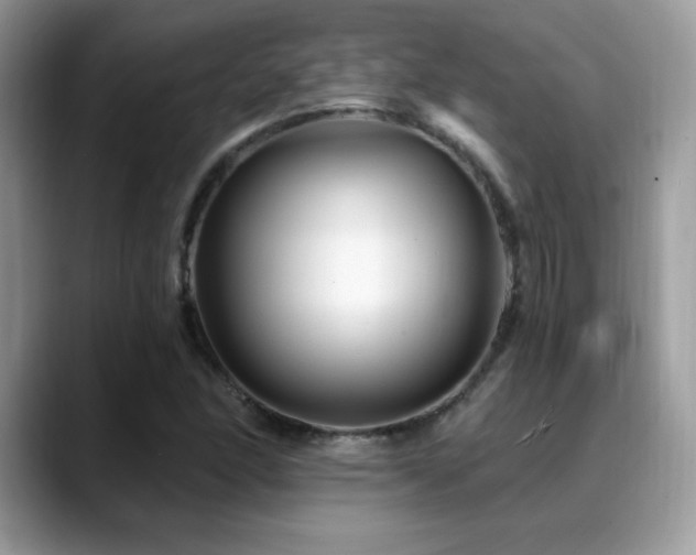 X0000088861166200706081147