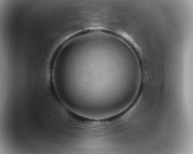 X0000088861167200706081147