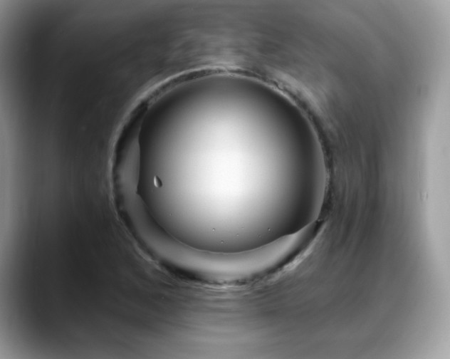 X0000088861168200706081147