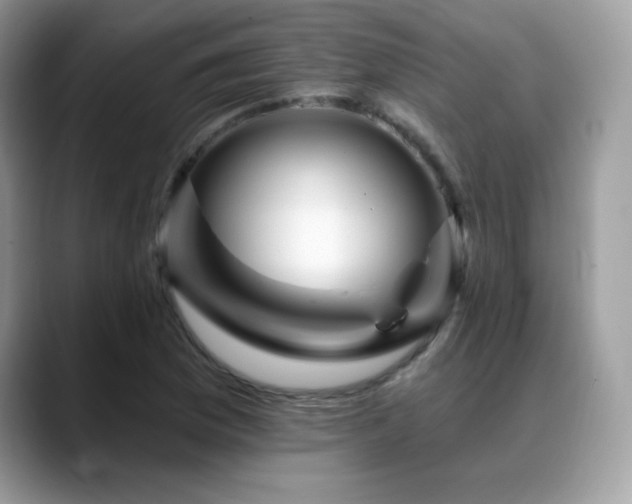 X0000088861169200706081147