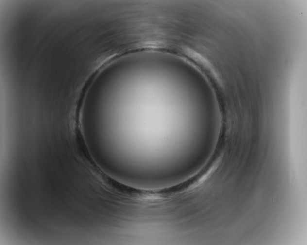 X0000088861170200706081147