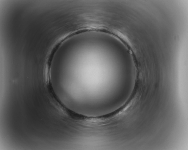 X0000088861171200706081147