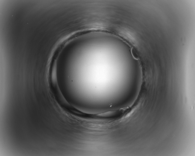 X0000088861172200706081147