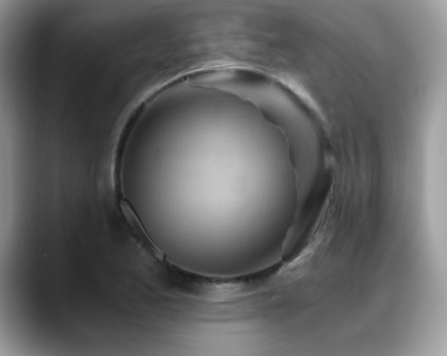 X0000088861173200706081147