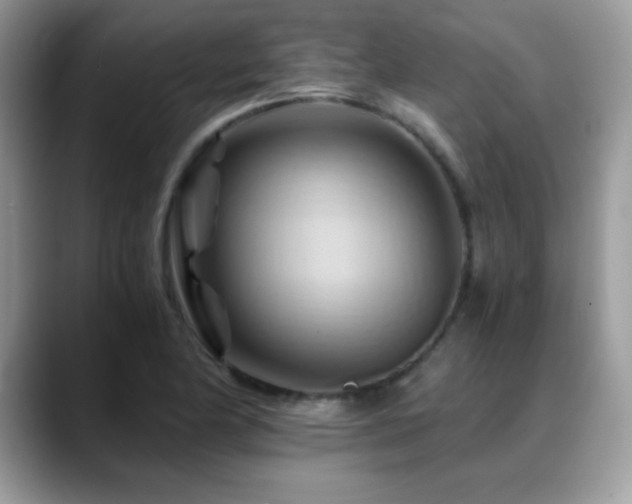 X0000088861174200706081147