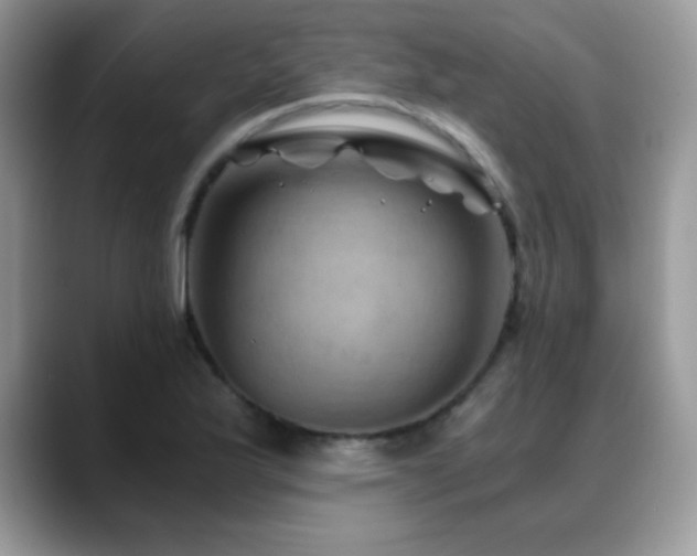 X0000088861175200706081147