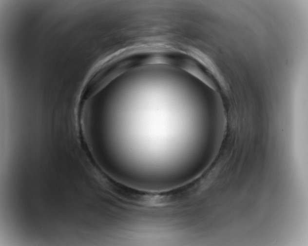 X0000088861176200706081147
