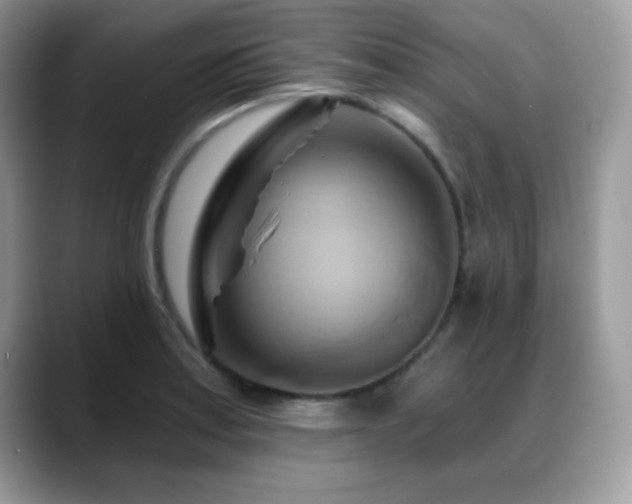 X0000088861179200706081147