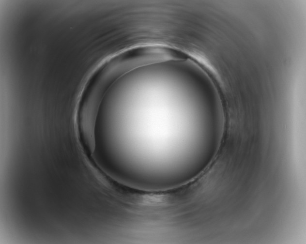 X0000088861181200706081147