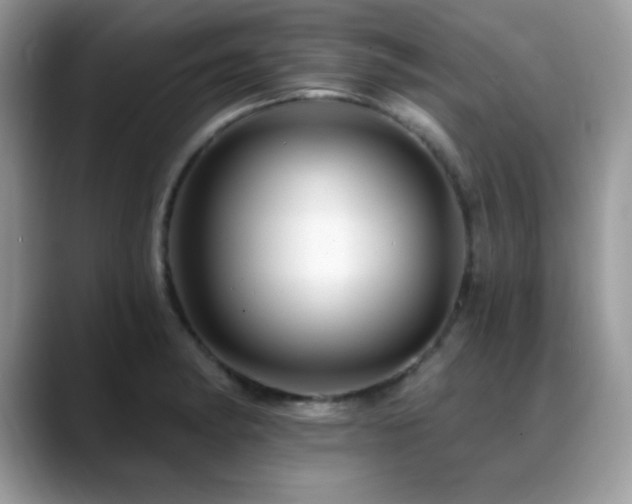X0000088861182200706081147